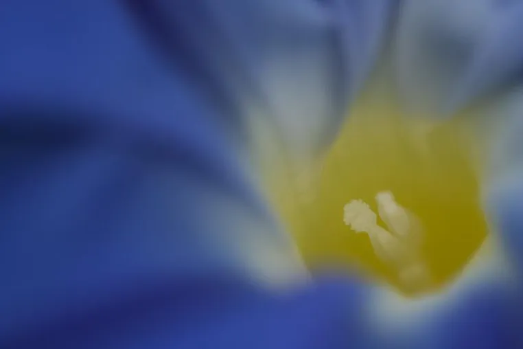 Bild: Pflanzenfotoseminare im Botanischen Garten Berlin: Einführung und Kreativkurs mit der Fotoschule des Sehens