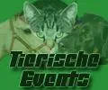 Bild: Internet-Veranstaltungskalender Tierische Events online - große Resonanz bei kleinen Veranstaltern