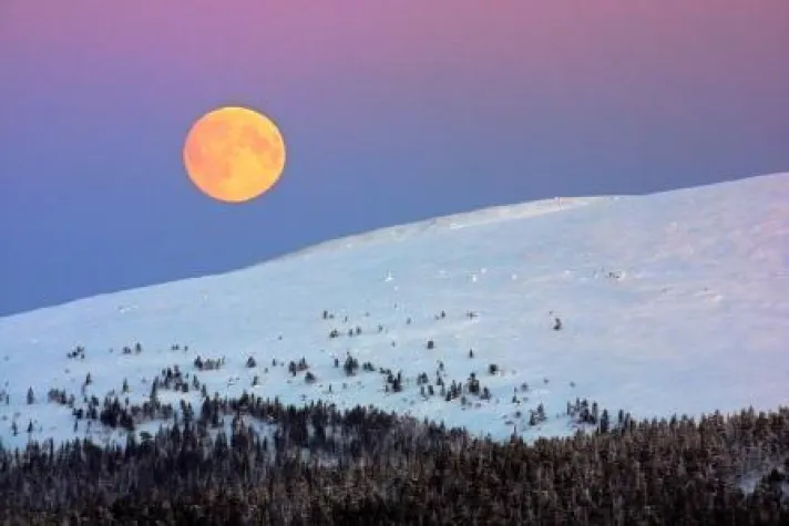 Bild: Lappland – Fotoseminar in Rajamaa: Catch the arctic light