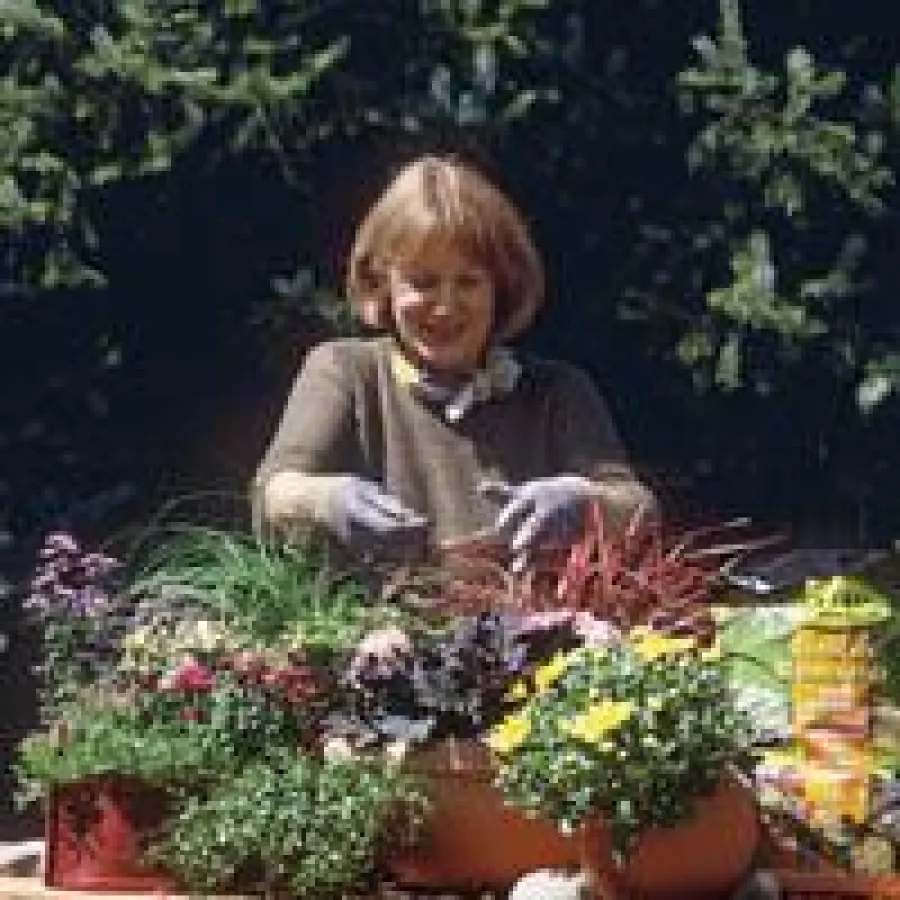 (c) Frux - Herbstzauber