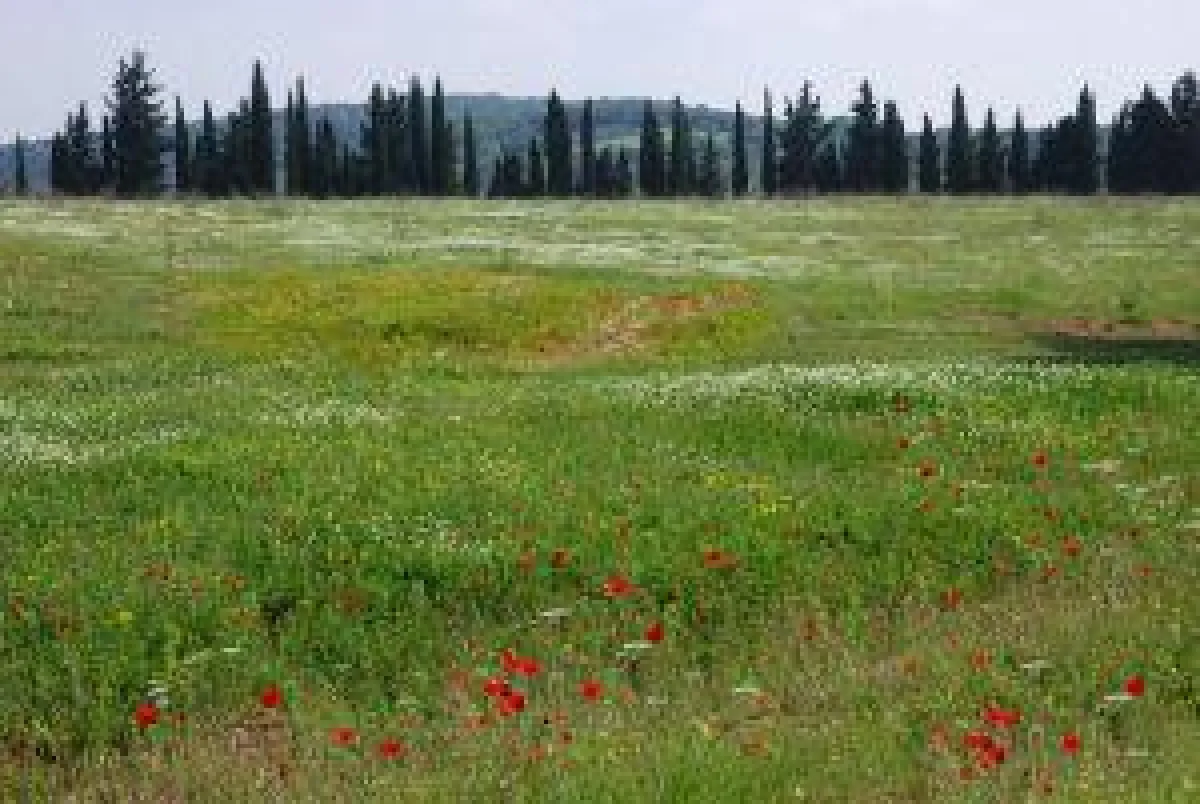 BU: Maremma, Toskana Foto: Wikinger Reisen. Abdruck honorarfrei, bitte nur mit Quellenangabe. Foto senden wir gern in hoher Auflös
