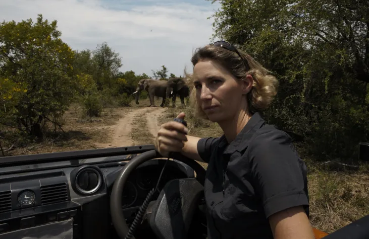 Bild: Was ein Elefant mit einer Krise zu tun hat