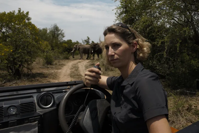 Bild: Was ein Elefant mit einer Krise zu tun hat