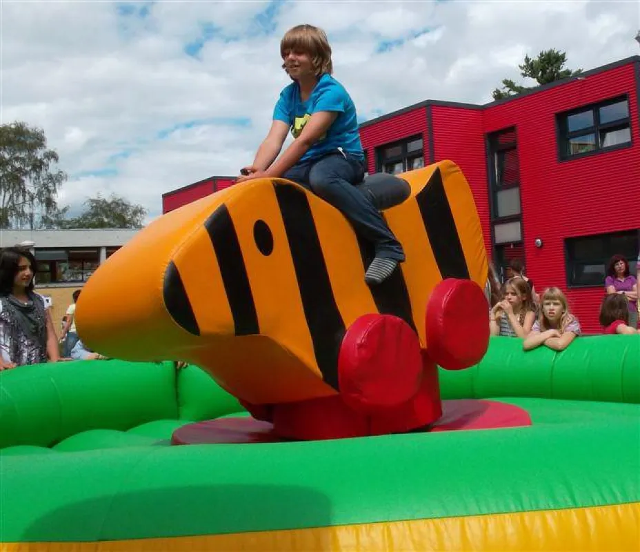 Bullriding und Tigerente mieten