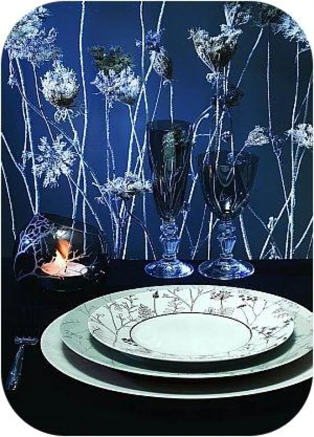 Abbildung: Porzellanservice Envie Ombelles