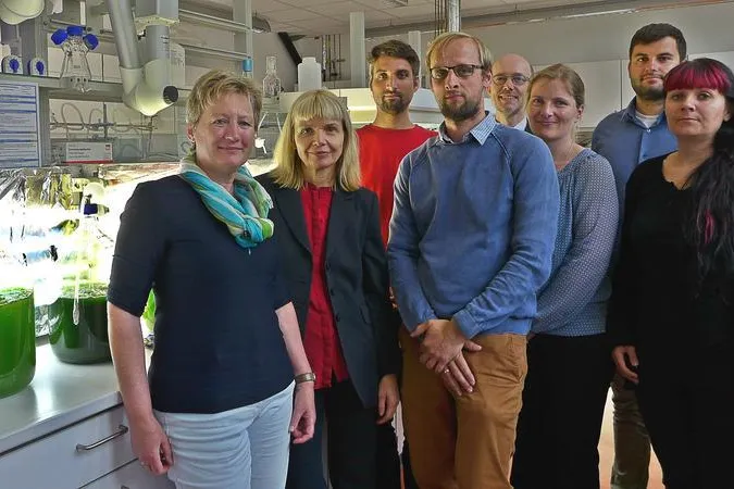 Bild: Mikroalgenforschung in Sachsen-Anhalt: Führende Institutionen vernetzen sich