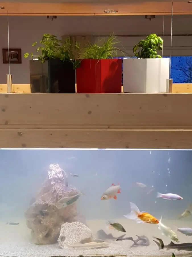 Das Quellarium gibt es in verschiedenen Farben