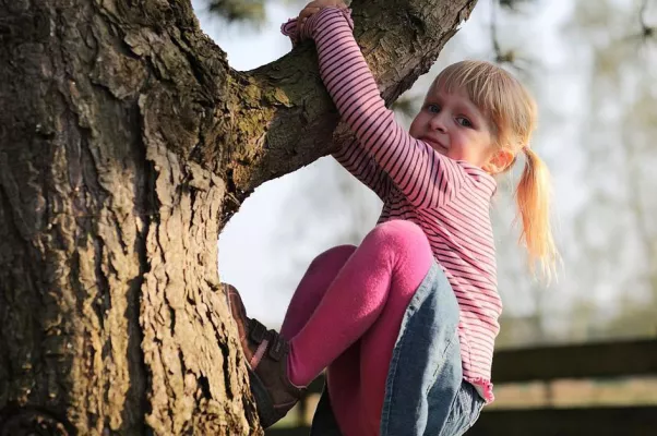 Bild: Wildnis für Kinder
