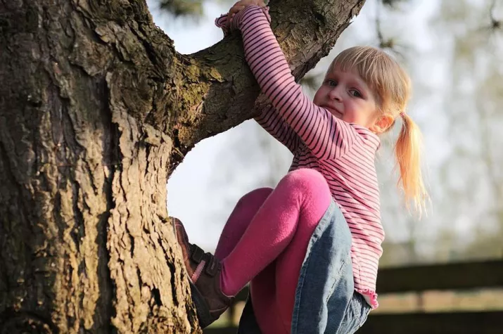 Bild: Wildnis für Kinder