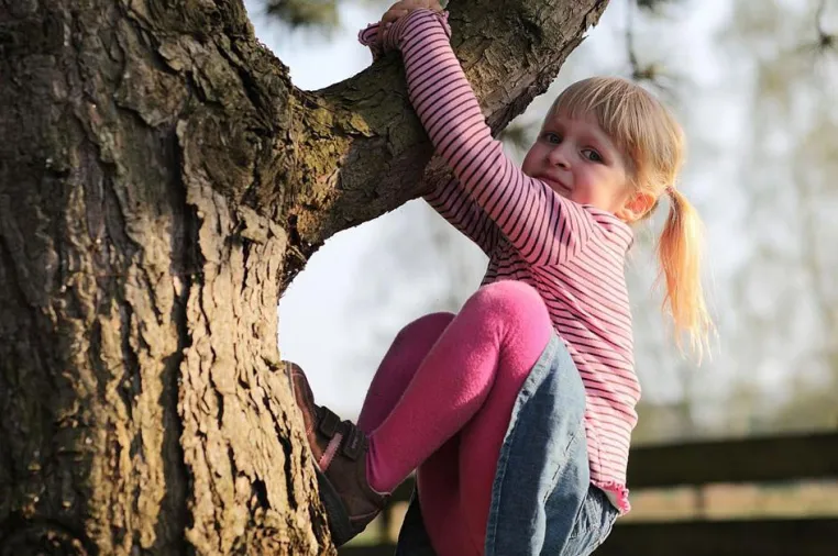 Bild: Wildnis für Kinder
