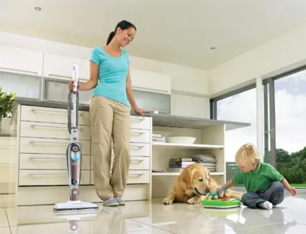 Bild: Dampfbesen beseitigt 99,9 % der Bakterien, Keime und Milben