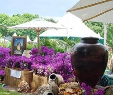 Bild: Sie sind da: Die weißgrünen Pagodenzelte auf der Home & Garden International 2011