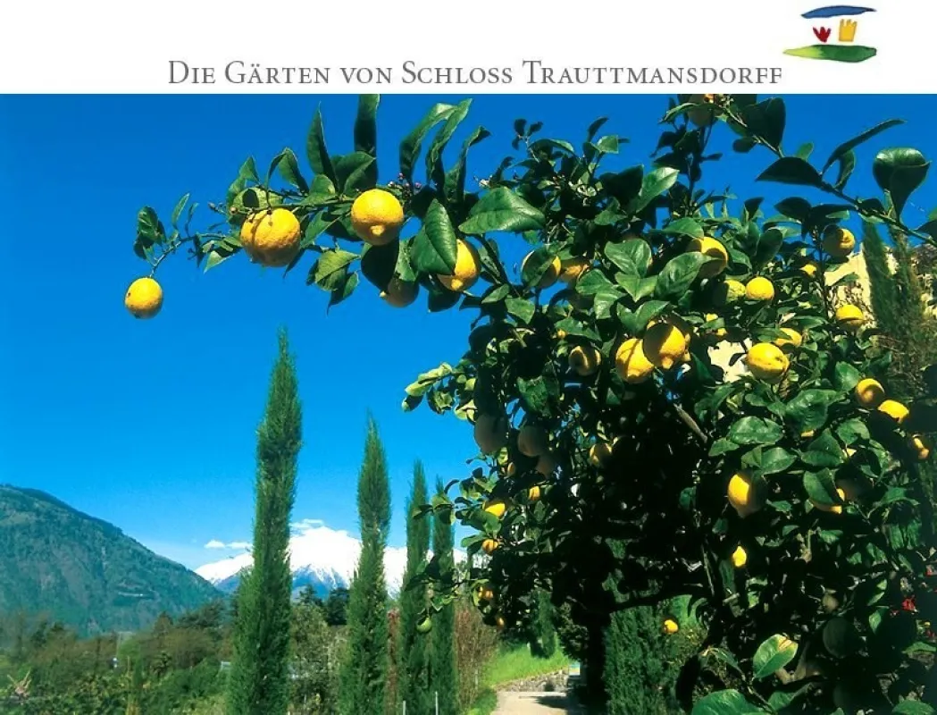 tourTV besuchte mit den Kameras auch den botanischen Garten in Meran