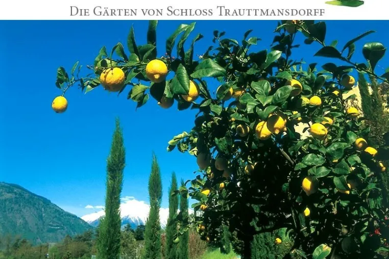 Mit tourTV unterwegs: Kult Bild: Mit tourTV unterwegs: Kult