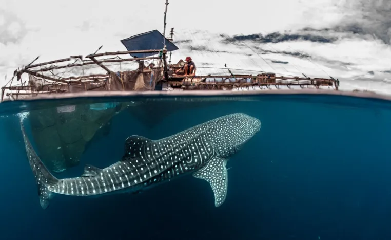 Bild: Mit der Familie die Welt entdecken:  Segelabenteuer in Indonesien mit SeaTrek