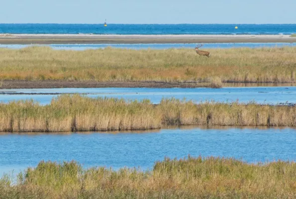 Bild: Fotos bereits bei der Aufnahme gestalten: Fotoworkshop „Bildgestaltung“ in Hannover
