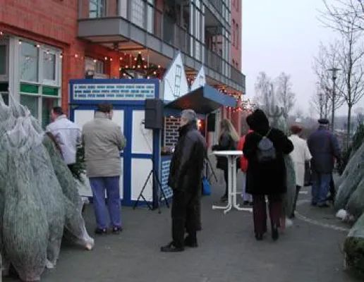 Bild: 150 Nordmanntannen zu gewinnen