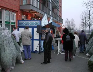 Bild: 150 Nordmanntannen zu gewinnen