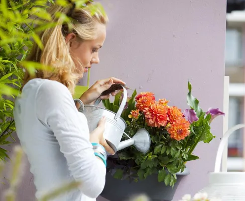 Bild: Mini-Garten auf dem Balkon: Jetzt ist Pflanzzeit für Obst, Gemüse und Blumen