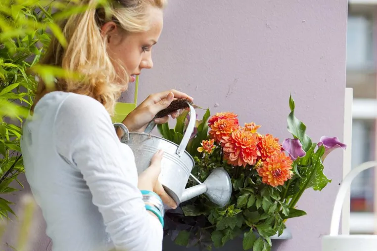 Mini-Garten auf dem Balkon: Jetzt ist Pflanzzeit für Obst, Gemüse und Blumen Bild: Mini-Garten auf dem Balkon: Jetzt ist Pflanzzeit für Obst, Gemüse und Blumen
