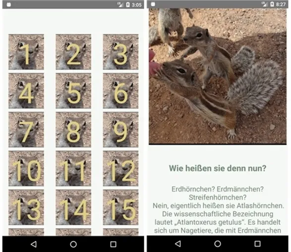 Bild: Aufmunterung in der Corona-Zeit: Die Erdhörnchen-/Atlashörnchen-Adventskalender-Quiz-App