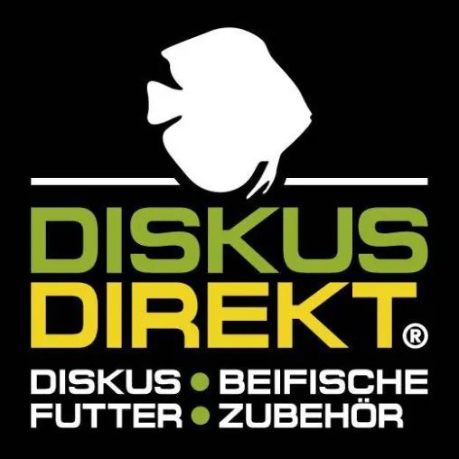 Bild: Verfügbarkeit von Stendker Diskusfischen für Aquarianer in der Schweiz