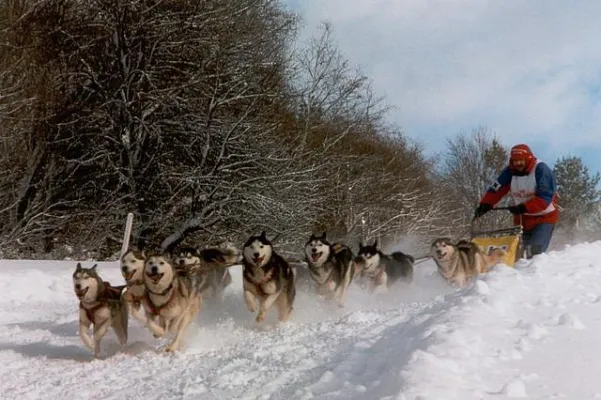 Bild: Wintertourismus im polnischen Podkarpackie - Schnee garantiert