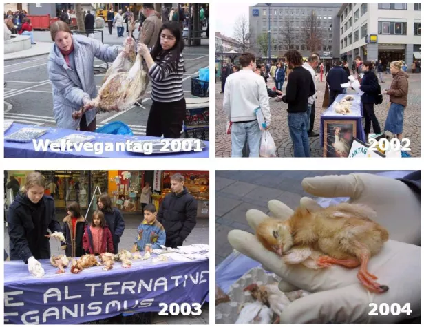 'Vogelgrippe': Keine Vogelleichen zum Weltvegantag Bild: 'Vogelgrippe': Keine Vogelleichen zum Weltvegantag