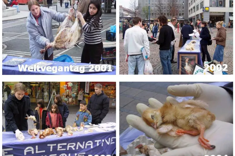 'Vogelgrippe': Keine Vogelleichen zum Weltvegantag Bild: 'Vogelgrippe': Keine Vogelleichen zum Weltvegantag