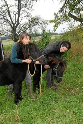 Bild: Menschen für Tierrechte retten Ponys vor Tierversuch