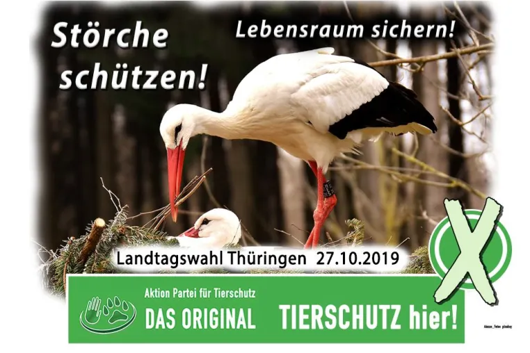 Bild: Störche schützen – Lebensraum sichern