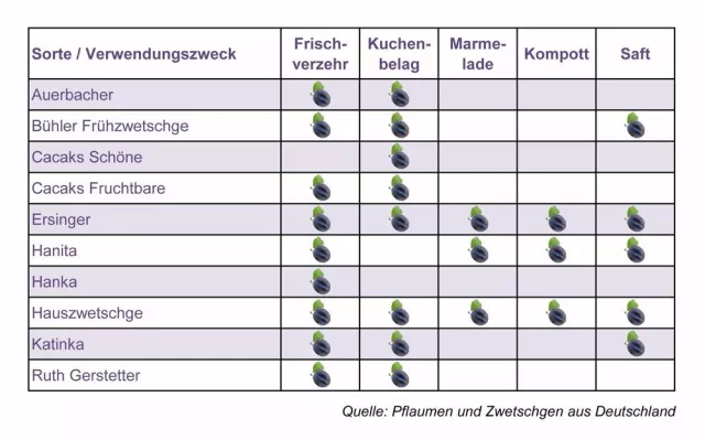 Bild: Für jeden Gaumen ein blaues Wunder: Großes Angebot an heimischen Pflaumen und Zwetschgen