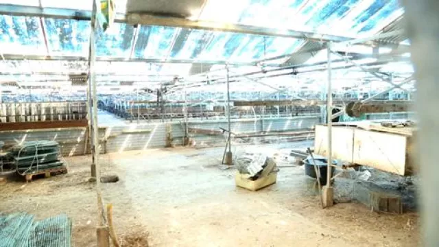 Bild: Erstmals Videoaufnahmen aus schlimmster Nerzfarm Deutschlands