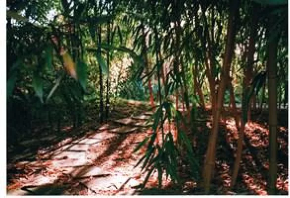 Bild: Neueröffnung des „Meditations- und Tee-Garten“ in Mecklenburg