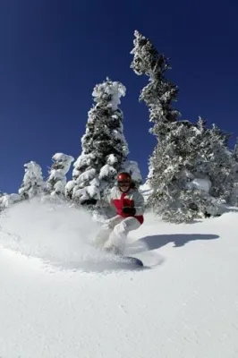 Bild: Unterwegs per Snowboard, Schlittenhund, Schneemobil & Co.