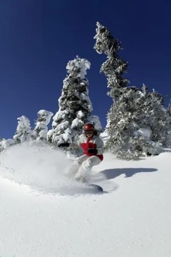 Bild: Unterwegs per Snowboard, Schlittenhund, Schneemobil & Co.