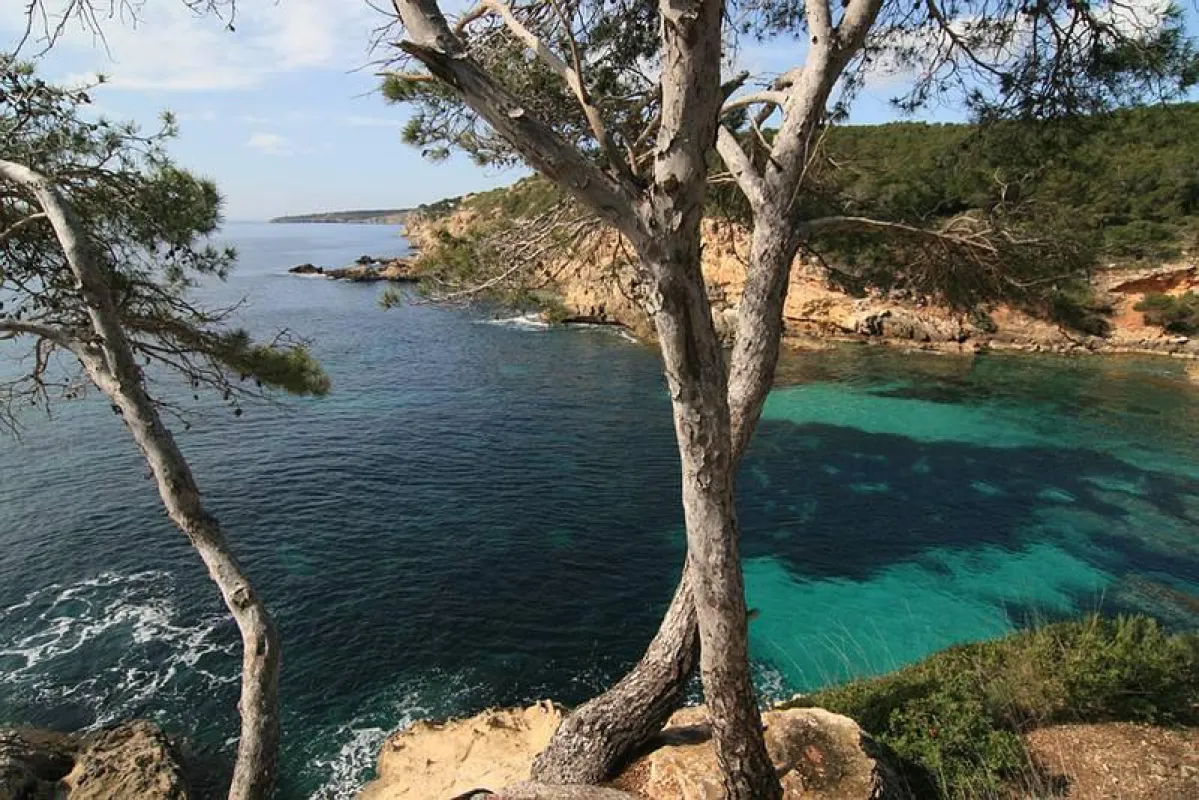 Mallorca: Die Lieblingsinsel der Deutschen - und der Urlaub-im-Web.de-Kunden