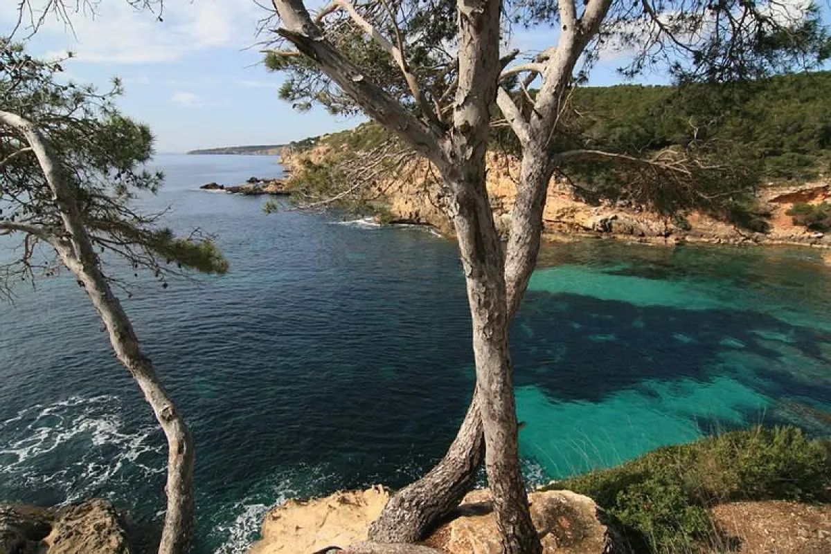 Mallorca: Die Lieblingsinsel der Deutschen - und der Urlaub-im-Web.de-Kunden