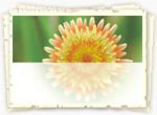 Neuer Internetauftritt der Lasard Beduftungssystem ist online Bild: Neuer Internetauftritt der Lasard Beduftungssystem ist online