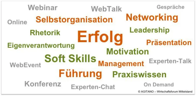 Bild: WebConference „Handwerkszeug für Entscheider“ am 30. April 2013 – live und on demand
