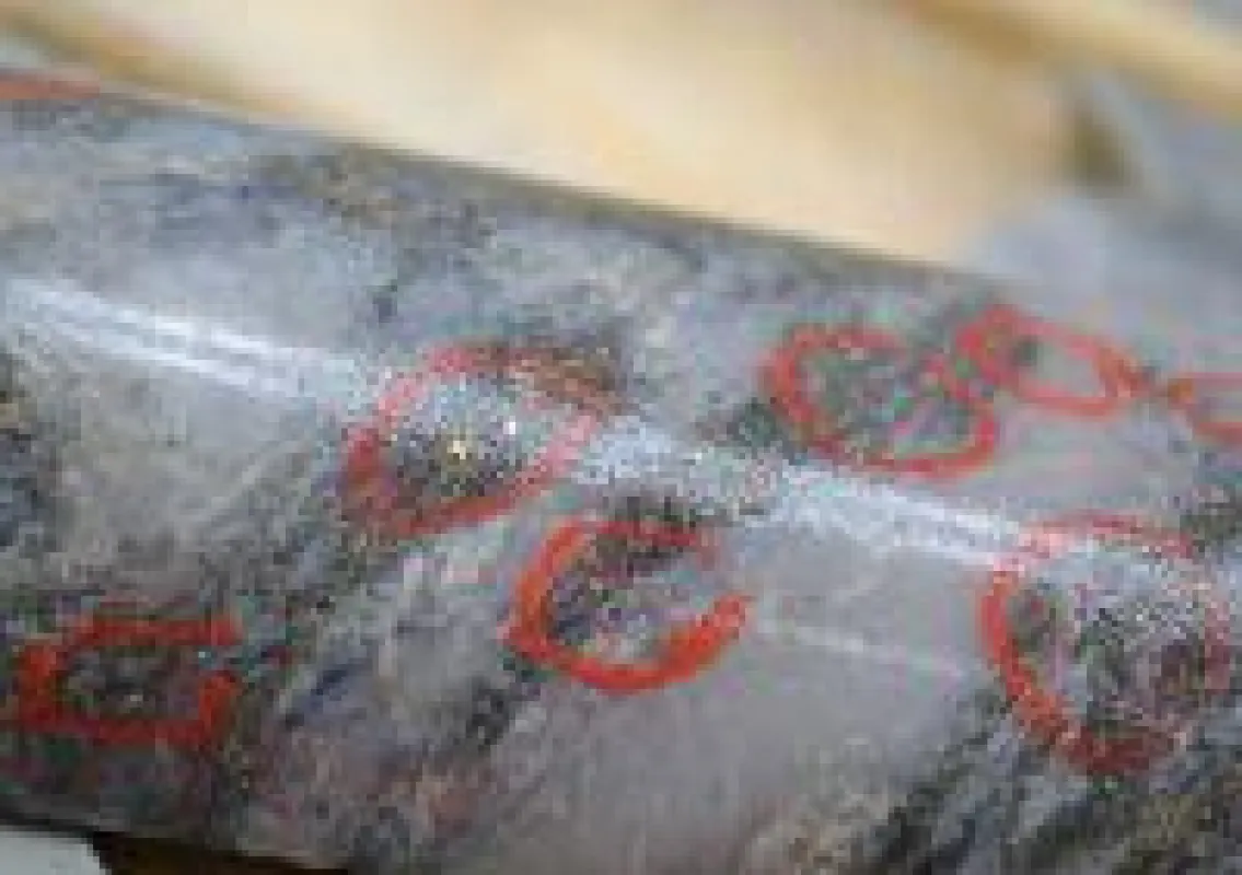 Bohrkern mit sichtbarem Gold; Foto: Bonterra Resources