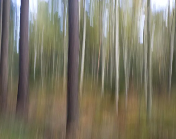 Bild: Fotoseminar 'Wald-Allerlei' auf dem NABU Gut Sunder mit der Fotoschule des Sehens