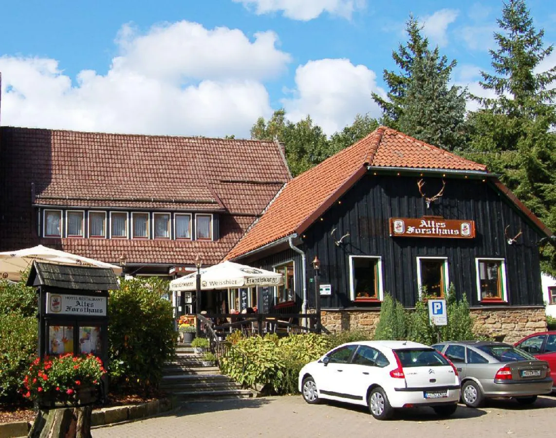 Vom Harz Hotel Altes Forsthaus Braunlage zur Galopprennwoche in Bad Harzburg
