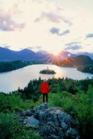 Almen statt Palmen Bild: Almen statt Palmen