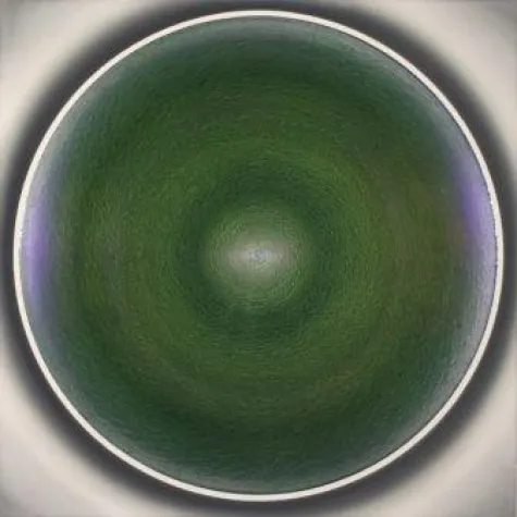 Bild: Robert Schaberl auf der ViennAfair 2007