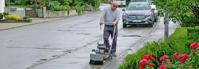 Bild: Nie wieder Unkraut: Ökologische Wildkrautbürste EWB-35HO zurück