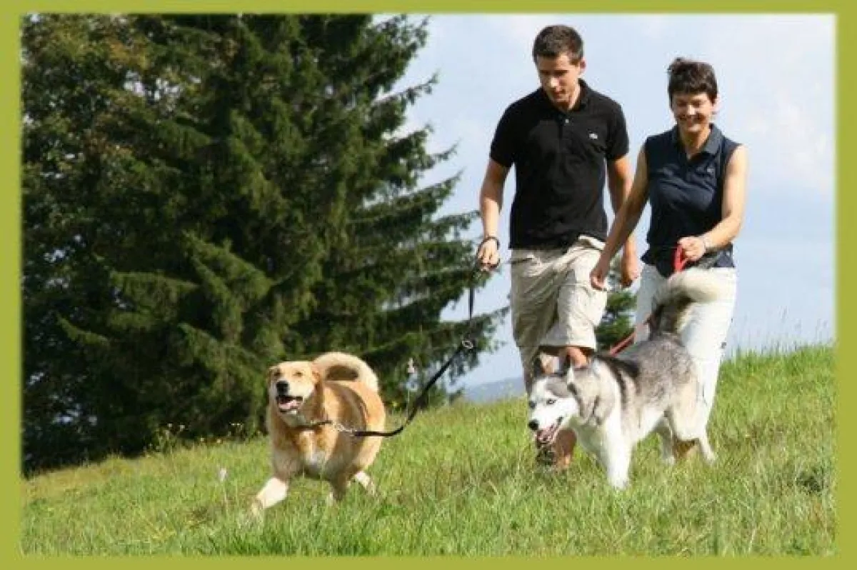 Landhotel Haus Waldeck ? der Spezialist für Wanderungen mit Hund