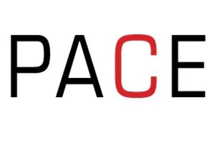 Bild: PACE Media geht in die Politik