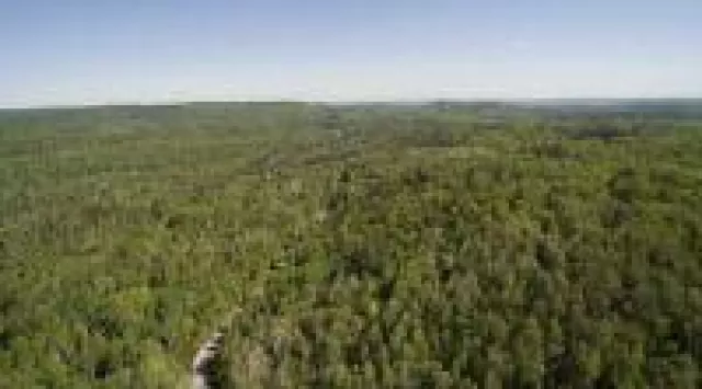 Bild: Platin verhilft zu sauberer Luft