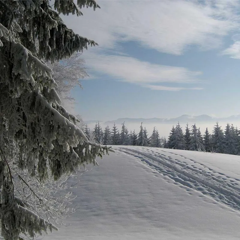Achtung bei Winter-Spaziergang: die Haare leiden!